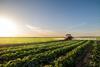 The NFU has fought against the closure of the SFI scheme