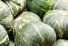 NZ Buttercup squash