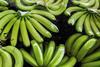 EC Ecuador AEBE bananas green