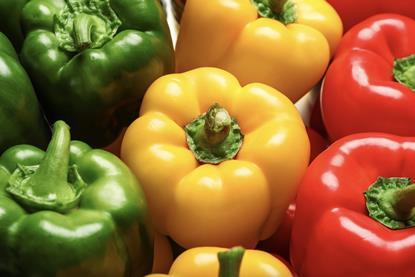 Generic bell peppers mixed colours