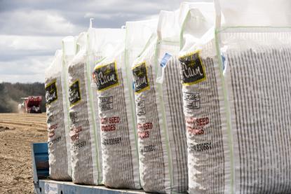 McCain is supporting its potato growers