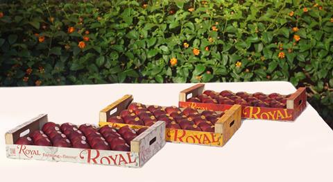 Royal A